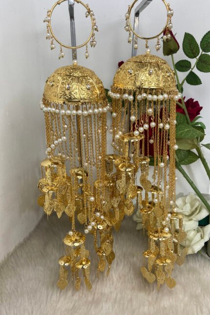 Aafreen Kaleera